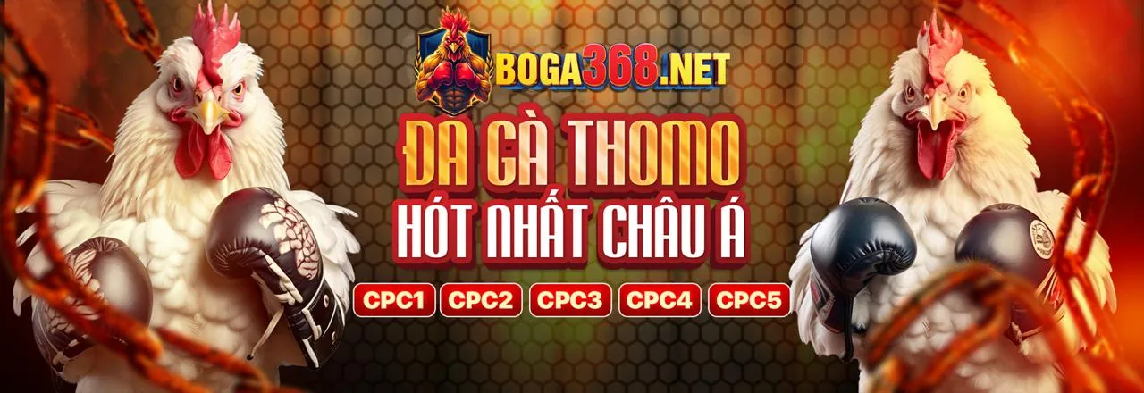 Đá gà trực tuyến kịch tính tại for88 app